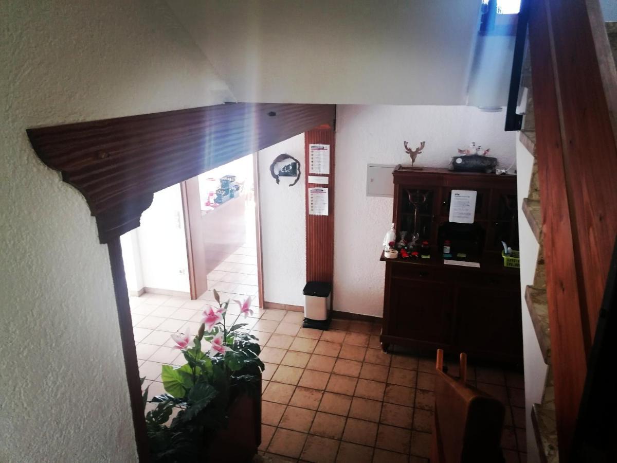 הוילה הורנברג Haus Schwarzwaldblick מראה חיצוני תמונה