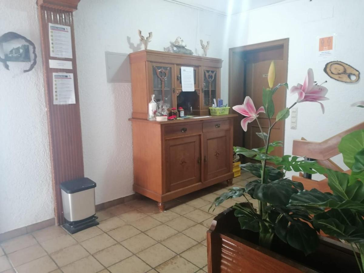 הוילה הורנברג Haus Schwarzwaldblick מראה חיצוני תמונה